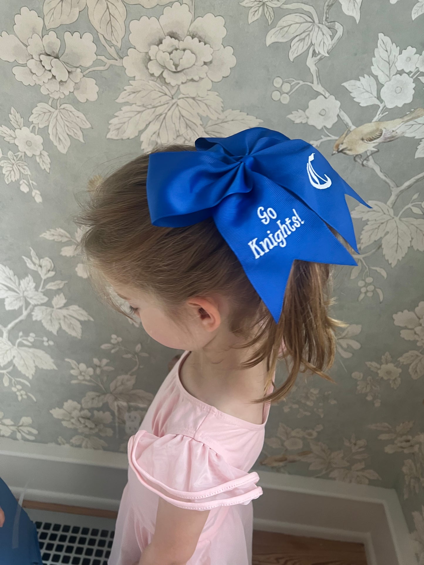 CCS - Go Knights Cheer bow